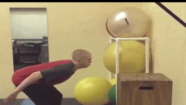 Worlds-funniest-fails GIFs - Get the best GIF on GIPHY