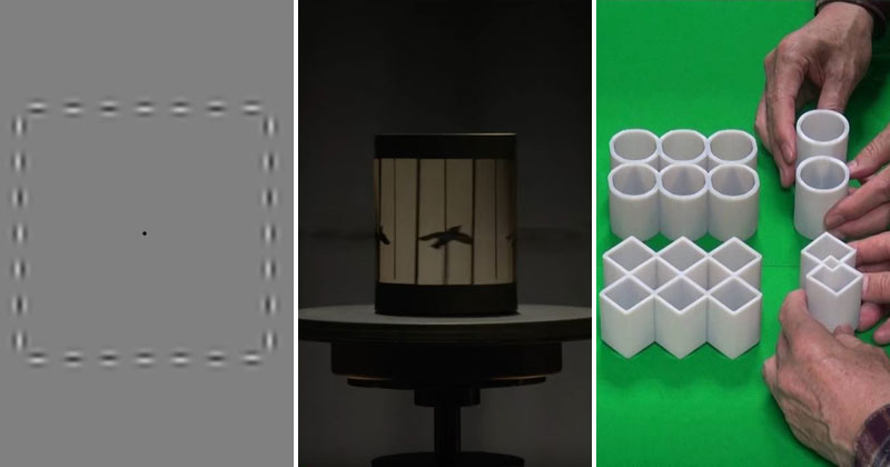 The Best Illusions Of 2016 TwistedSifter
