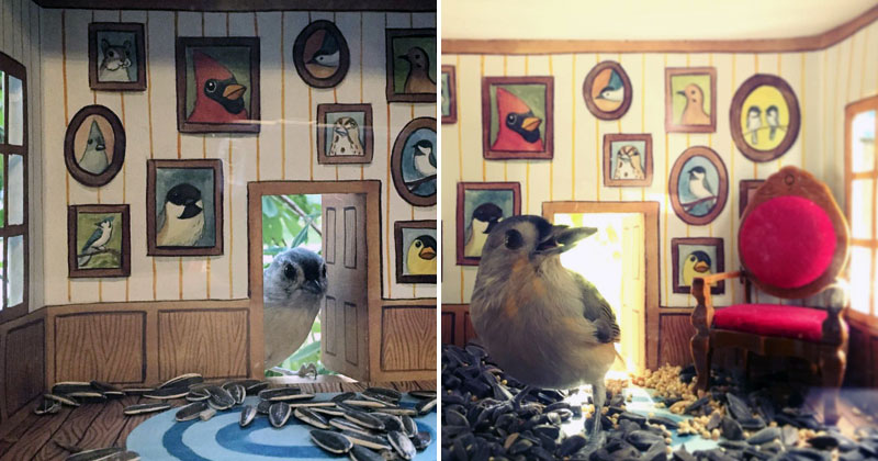 This Woman Makes Tiny Homes for Her Wild Bird Friends