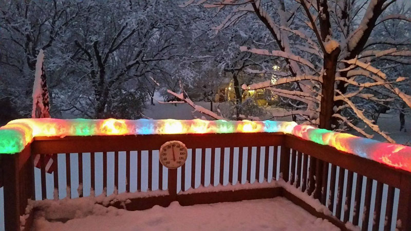 christmas lights encased in snow after snowstorm in chicago Picture of the Day: Outdoor Lights After a Snowstorm in Chicago