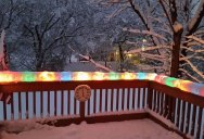 Picture of the Day: Outdoor Lights After a Snowstorm in Chicago