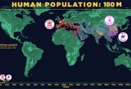 This Amazing Visualization Shows How We Got to 7 Billion People on Earth