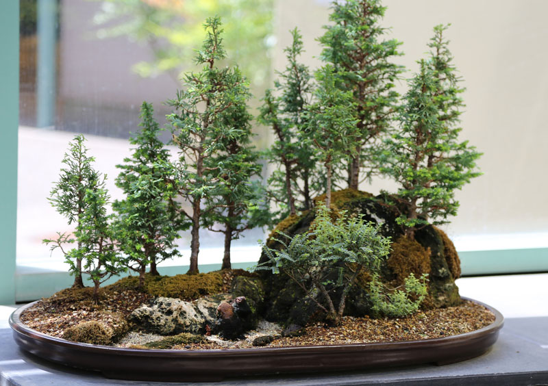 miniature bonsai forests 3 15 Beautiful Bonsai Forests