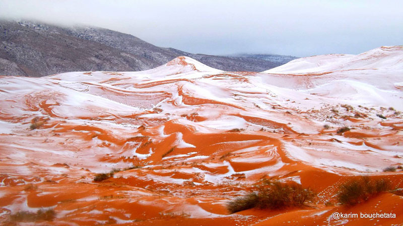 rare snowfall in sahara desert december 2016 karim bouchetata 2 Picture of the Day: Snow in the Sahara for First Time in 40 Years