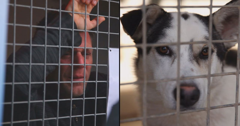 Rémi Gaillard Locks Himself in Cage for 87 Hours, Raises €200,000 and Gets 200 Dogs Adopted