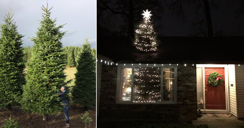 “We Bought a 20 ft Christmas Tree and Cut It In Half So It Goes Through the Roof”
