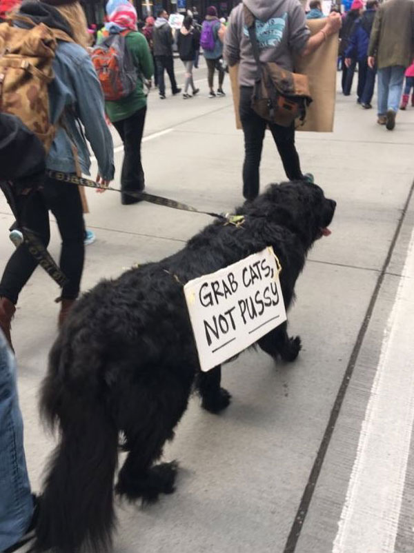 best funny creative signs from womens march 2017 20 50 Amazing Signs from Womens Marches Across the Globe