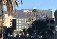 Picture of the Day: Welcome to Hollyweed