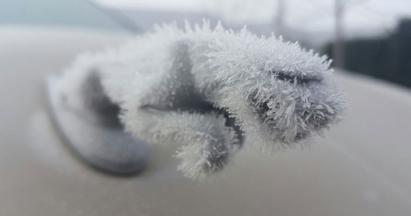 Picture of the Day: Ice Jaguar