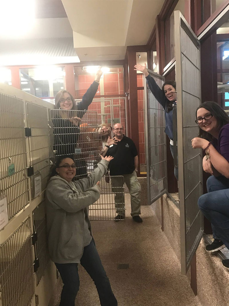 this shelter got every pet adopted and jumped into the empty kennels to celebrate 1 This Shelter Got Every Pet Adopted and Jumped Into the Empty Kennels to Celebrate