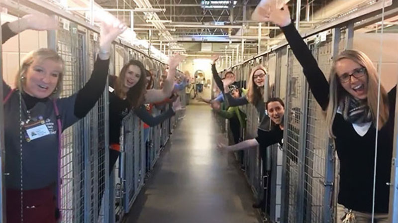 this shelter got every pet adopted and jumped into the empty kennels to celebrate 2 This Shelter Got Every Pet Adopted and Jumped Into the Empty Kennels to Celebrate