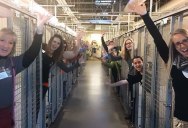 This Shelter Got Every Pet Adopted and Jumped Into the Empty Kennels to Celebrate