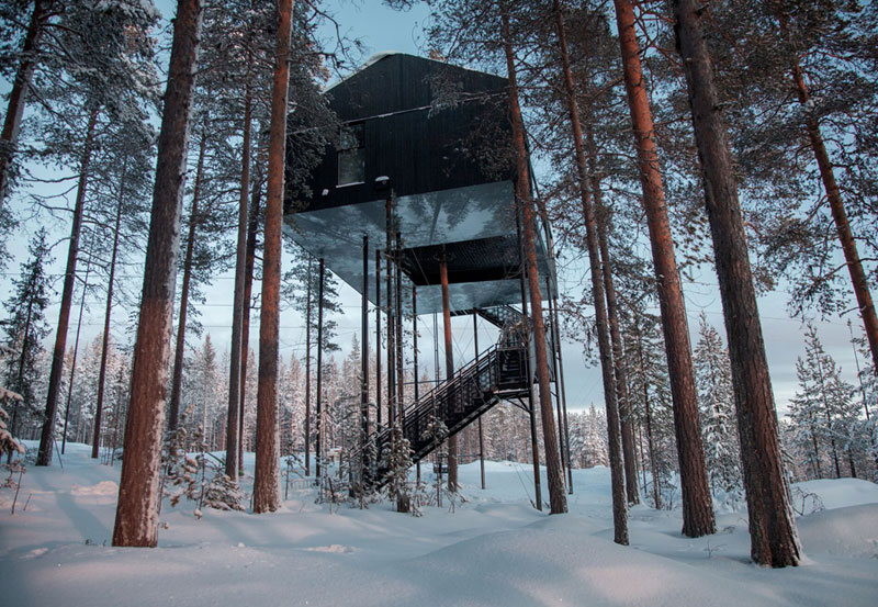 The Newest Room at Sweden's Treehotel has an Outdoor Net With a Tree Through It
