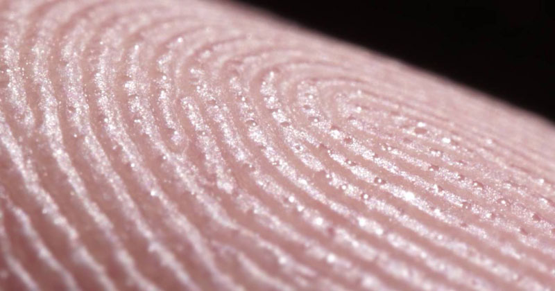Macro Timelapse Reveals the Hundreds of Sweat Glands on the Tip of Your Finger Alone