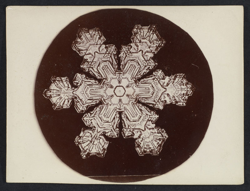 first ever photos of snowflakes by wilson alwyn bentley 11 In 1885 Wilson Bentley Took the First Ever Photographs of Snowflakes (23 Photos)