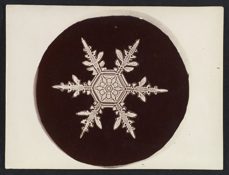 first ever photos of snowflakes by wilson alwyn bentley 13 In 1885 Wilson Bentley Took the First Ever Photographs of Snowflakes (23 Photos)