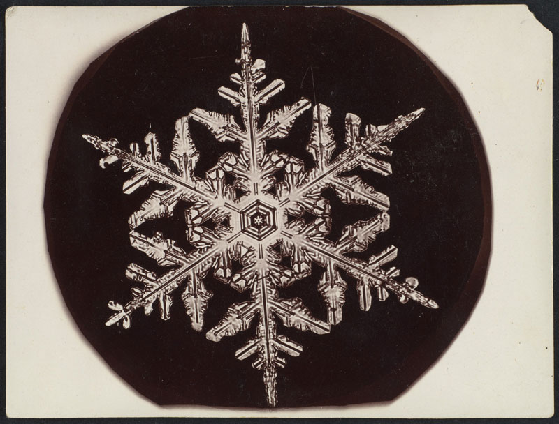first ever photos of snowflakes by wilson alwyn bentley 16 In 1885 Wilson Bentley Took the First Ever Photographs of Snowflakes (23 Photos)