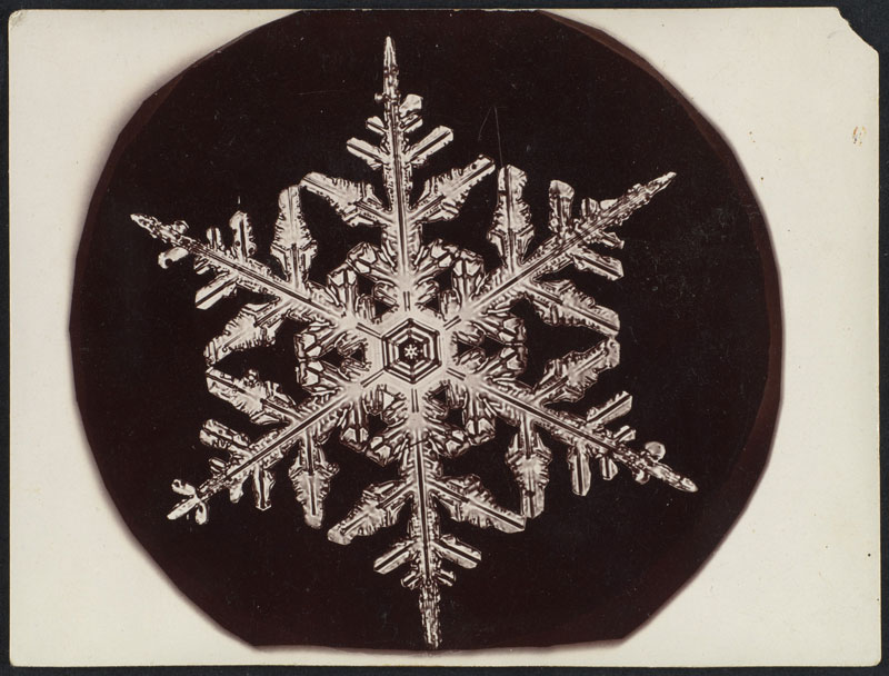 In 1885 Wilson Bentley Took the First Ever Photographs of Snowflakes ...