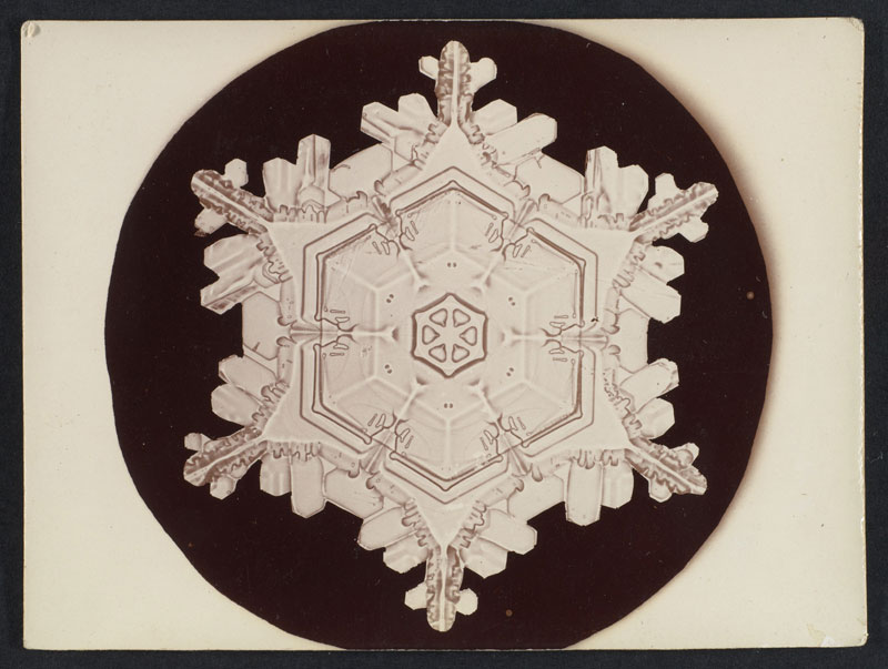first ever photos of snowflakes by wilson alwyn bentley 2 In 1885 Wilson Bentley Took the First Ever Photographs of Snowflakes (23 Photos)