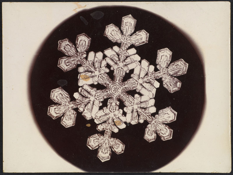 first ever photos of snowflakes by wilson alwyn bentley 20 In 1885 Wilson Bentley Took the First Ever Photographs of Snowflakes (23 Photos)