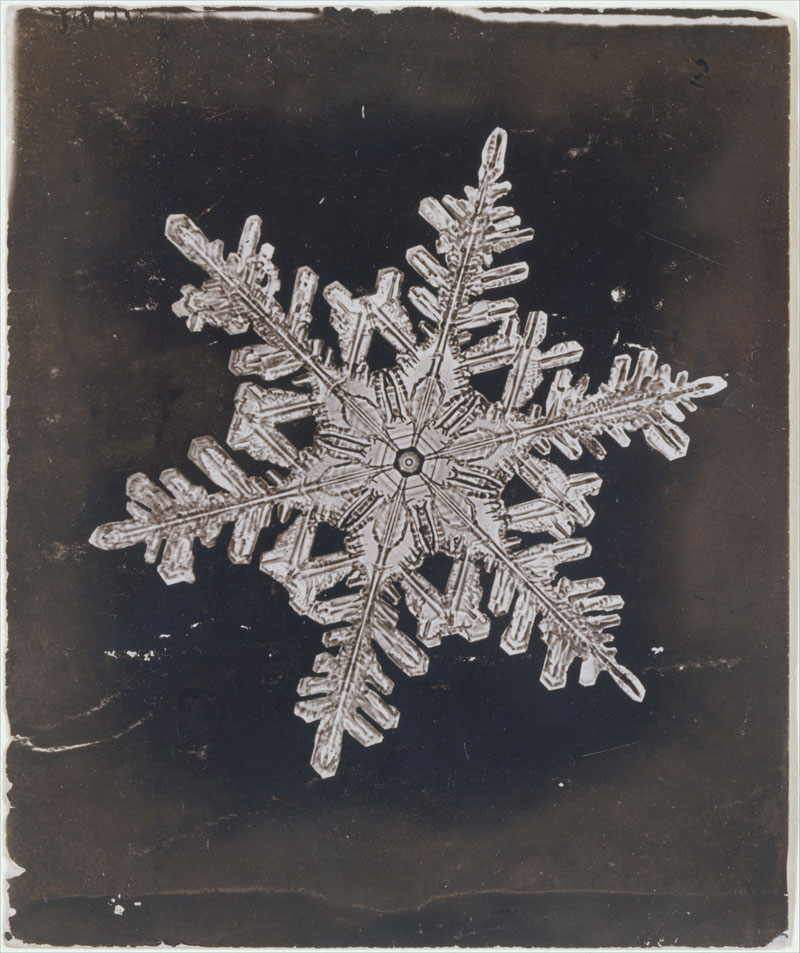 first ever photos of snowflakes by wilson alwyn bentley 24 In 1885 Wilson Bentley Took the First Ever Photographs of Snowflakes (23 Photos)