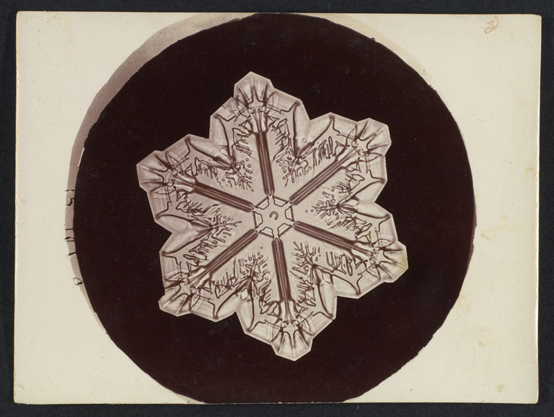 first ever photos of snowflakes by wilson alwyn bentley 4 In 1885 Wilson Bentley Took the First Ever Photographs of Snowflakes (23 Photos)