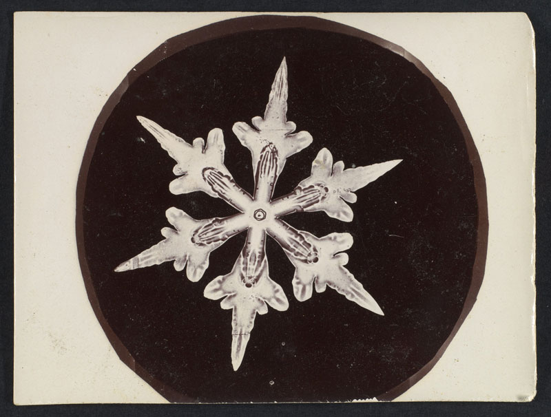 first ever photos of snowflakes by wilson alwyn bentley 7 In 1885 Wilson Bentley Took the First Ever Photographs of Snowflakes (23 Photos)