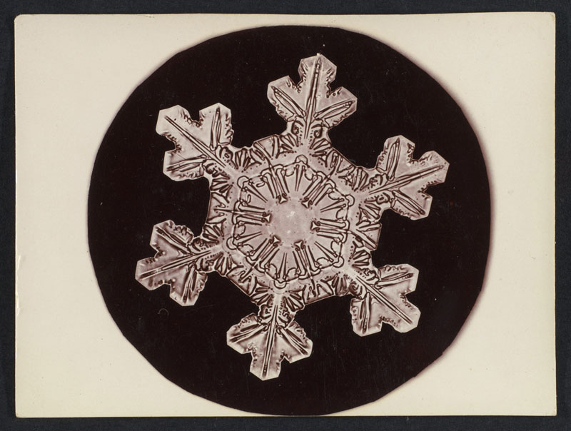 first ever photos of snowflakes by wilson alwyn bentley 8 In 1885 Wilson Bentley Took the First Ever Photographs of Snowflakes (23 Photos)