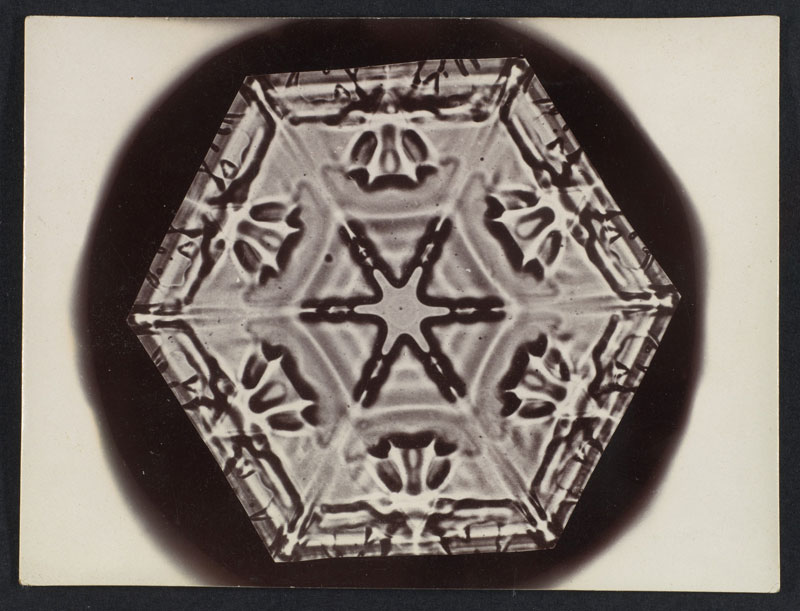 first ever photos of snowflakes by wilson alwyn bentley 9 In 1885 Wilson Bentley Took the First Ever Photographs of Snowflakes (23 Photos)