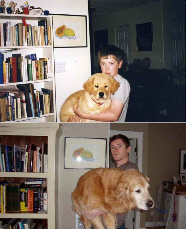 puppies dogs then and now 4 18 Then and Now Photos of Puppies/Dogs That Will Restore Your Faith in Everything