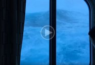 Cruise Ship Passenger Casually Watches Giant Waves Crash Against His 3rd Floor Room