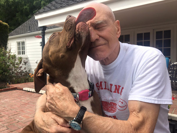 patrick stewart rescue dog Sir Patrick Stewart is Fostering a Rescued Pit and the Two of Them are Adorable