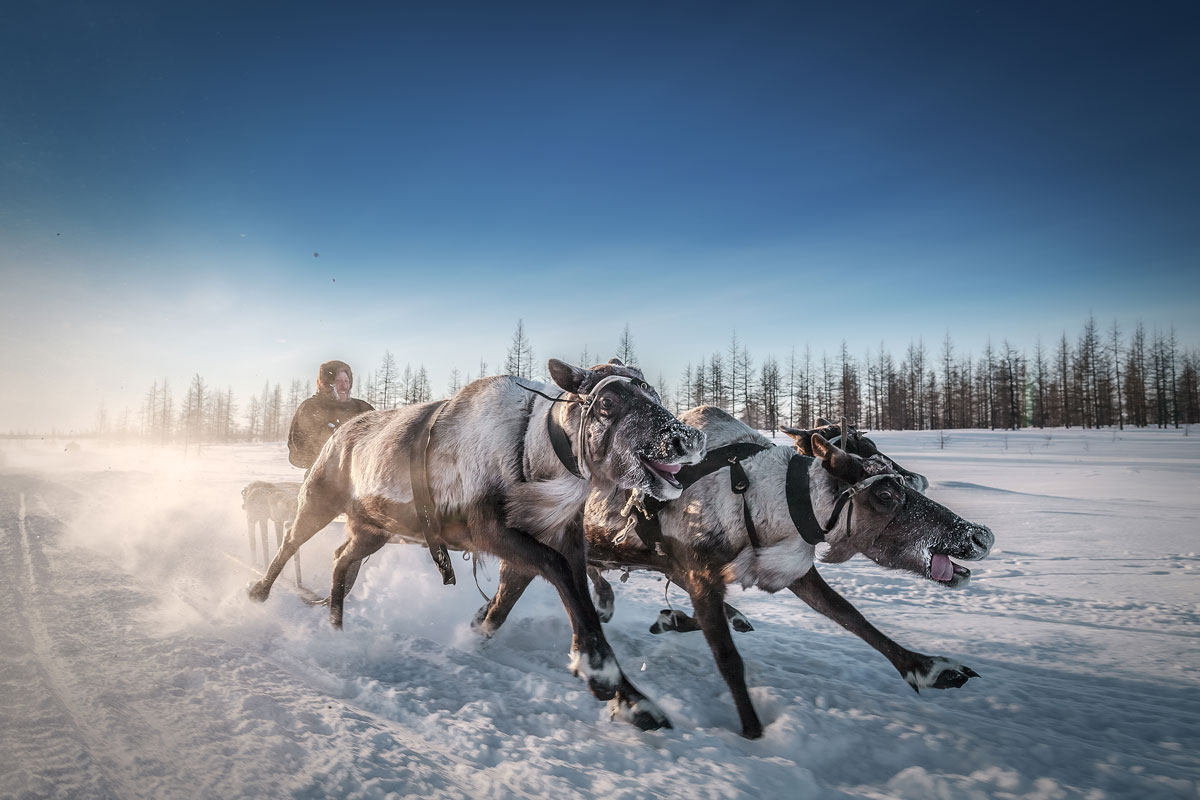 travel credit kamil nureev Amazing Highlights from Smithsonians 14th Annual Photo Contest