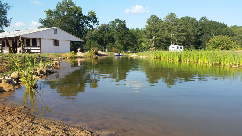 Forget an In-Ground Swimming Pool, this Guy Built His Own Natural Swim Pond!