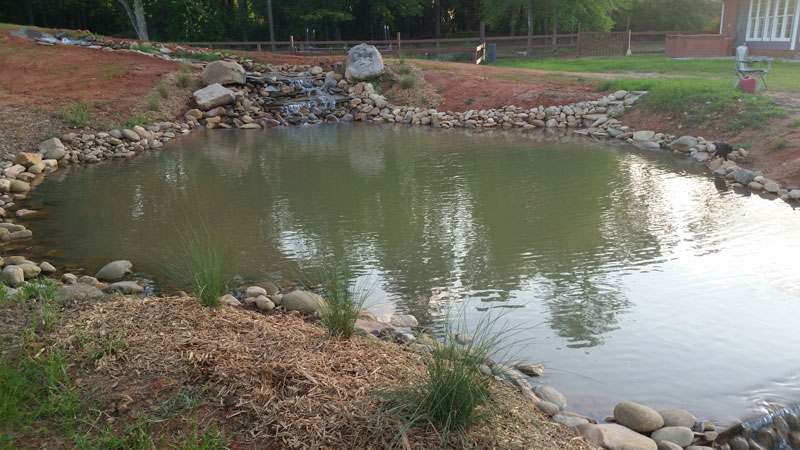 instead of an in ground swimming pool this guy built his own natural swim pond 23 Forget an In Ground Swimming Pool, this Guy Built His Own Natural Swim Pond!
