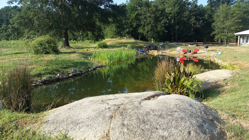 instead of an in ground swimming pool this guy built his own natural swim pond 24 Forget an In Ground Swimming Pool, this Guy Built His Own Natural Swim Pond!