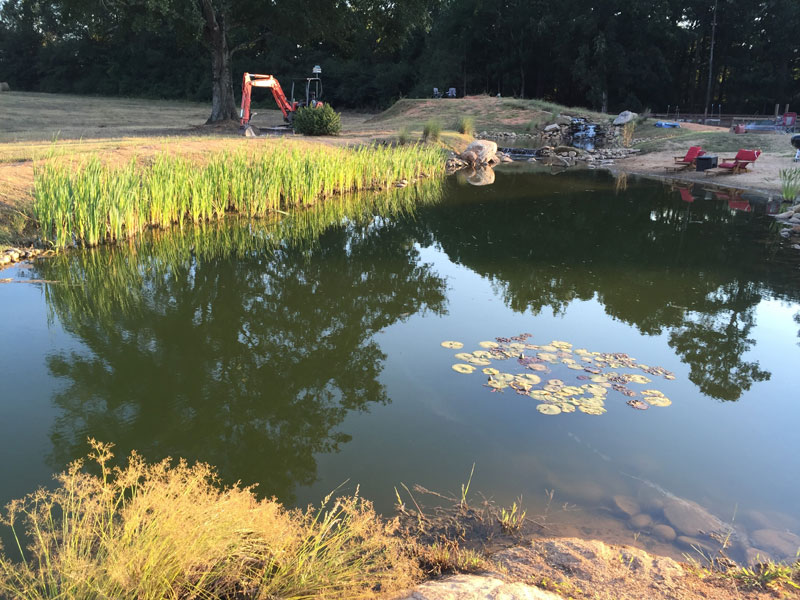 instead of an in ground swimming pool this guy built his own natural swim pond 31 Forget an In Ground Swimming Pool, this Guy Built His Own Natural Swim Pond!