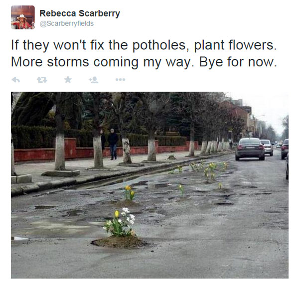 planting flowers in potholes 6 People are Planting Flowers in Potholes Because Cities Arent Fixing Them