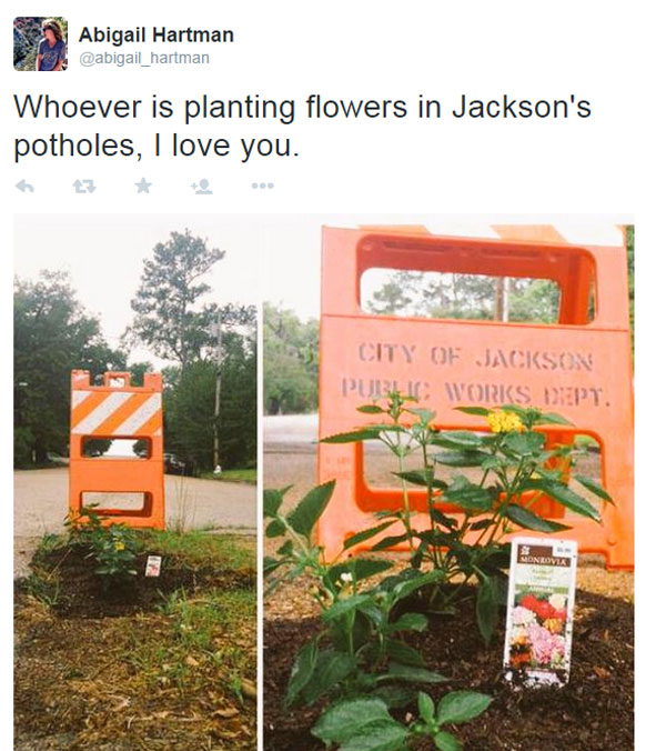 planting flowers in potholes 7 People are Planting Flowers in Potholes Because Cities Arent Fixing Them