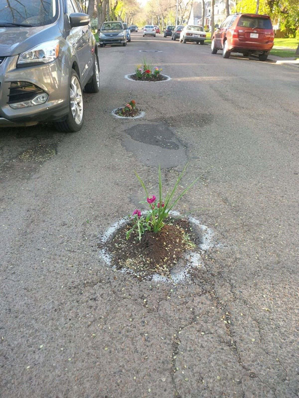 planting flowers in potholes 8 People are Planting Flowers in Potholes Because Cities Arent Fixing Them