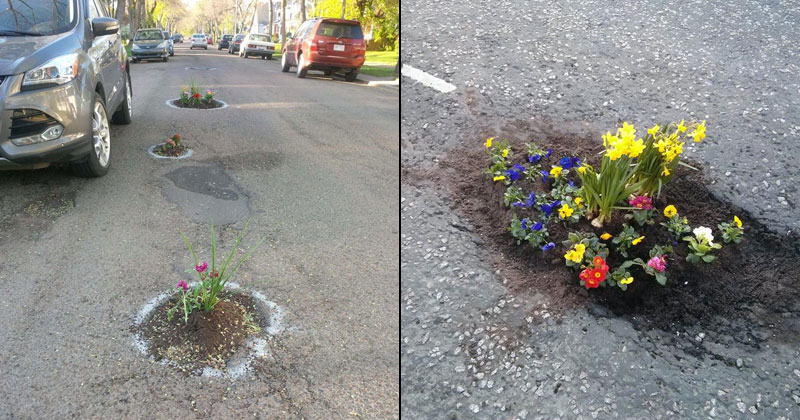 People are Planting Flowers in Potholes Because Cities Aren't Fixing Them