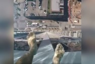 This Glass Bottomed Pool Lets You Admire the Ground 500 ft Below