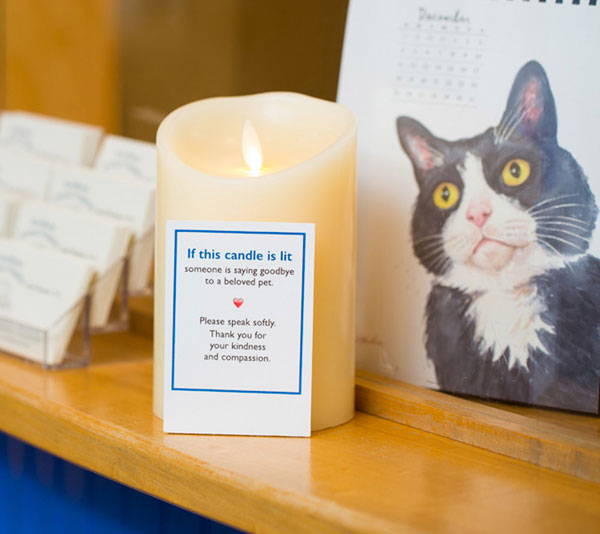 If this Candle is Lit » TwistedSifter