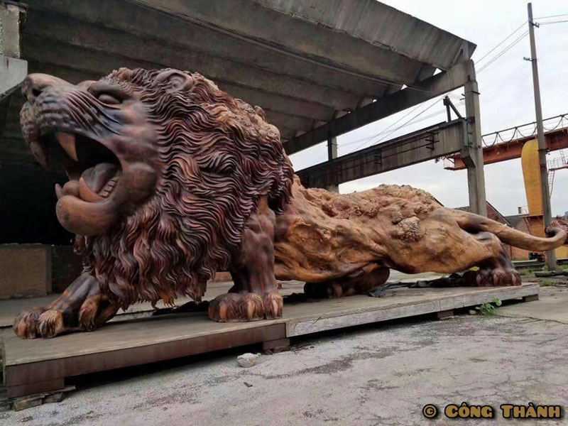 lion carved from single tree trunk by dengding rui yao 2 Incredible Wooden Lion Carved from a Single Tree (11 photos)