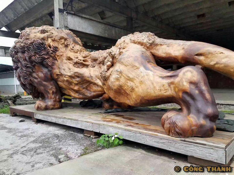 lion carved from single tree trunk by dengding rui yao 3 Incredible Wooden Lion Carved from a Single Tree (11 photos)