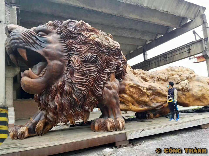 lion carved from single tree trunk by dengding rui yao 4 Incredible Wooden Lion Carved from a Single Tree (11 photos)