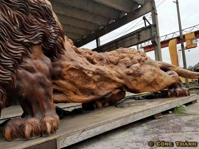 lion carved from single tree trunk by dengding rui yao 5 Incredible Wooden Lion Carved from a Single Tree (11 photos)