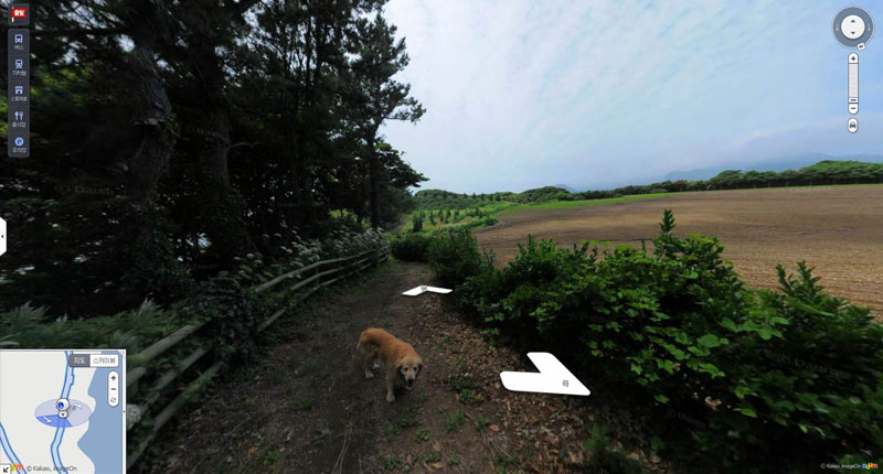 doggo photobombs every frame in this south korean island street view tour 11 Doggo Photobombs Every Frame in this South Korean Island Street View Tour