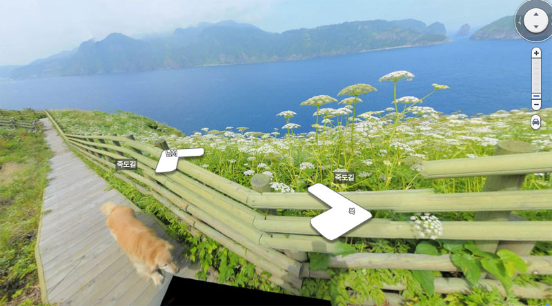 doggo photobombs every frame in this south korean island street view tour 7 Doggo Photobombs Every Frame in this South Korean Island Street View Tour