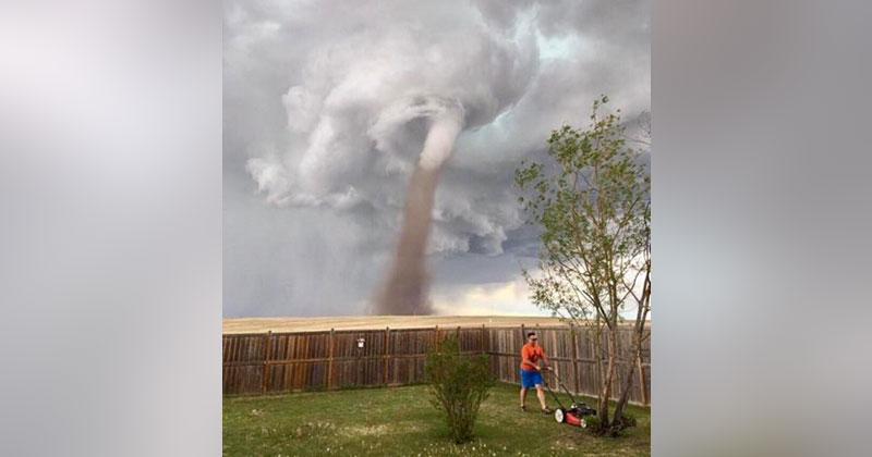 When a Tornado's Coming But Your Lawn is Life